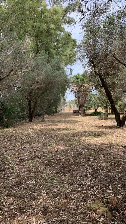 Tenuta Sidore Cursi Buitenkant foto