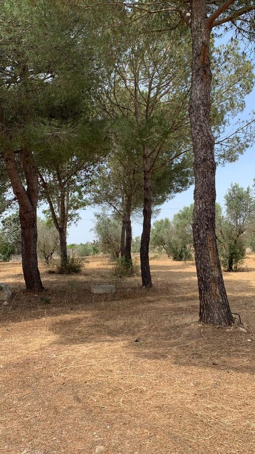 Tenuta Sidore Cursi Buitenkant foto